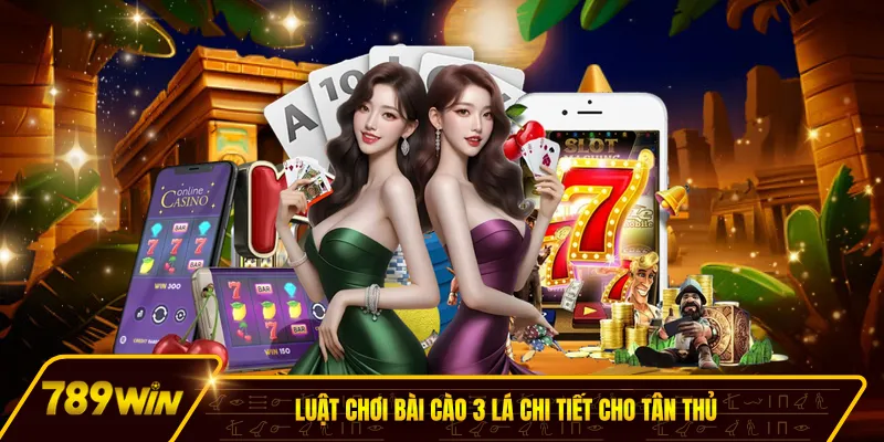 Luật chơi bài cào 3 lá chi tiết cho tân thủ