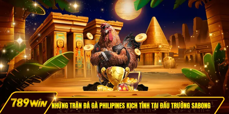 Những trận đá gà Philipines kịch tính tại đấu trường Sabong