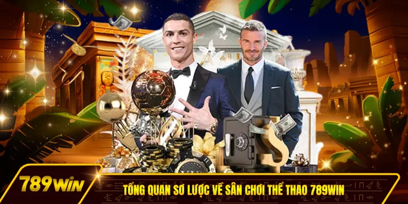 Tổng quan sơ lược về sân chơi thể thao 789win